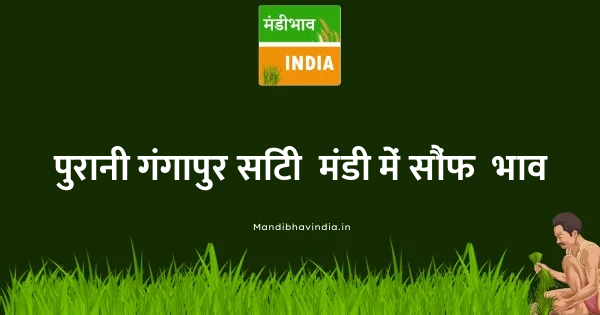 Saunf भाव